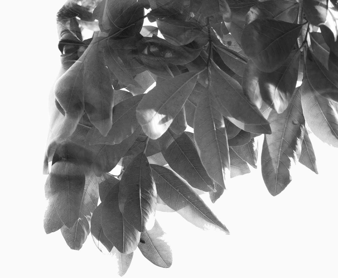 about blackhood services